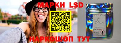 mdpv Будённовск