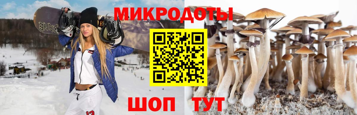 Псилоцибиновые грибы мицелий  Вход с VPN  Псилоцибиновые грибы ЛСД  что такое наркотик  Лабинск 
